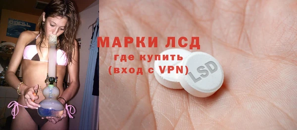 сатива Аркадак