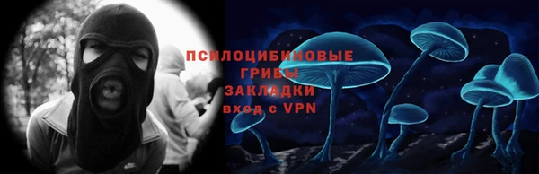 сатива Аркадак