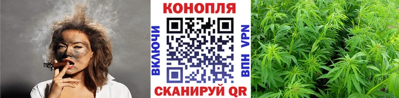 Бошки марихуана планчик Таруса